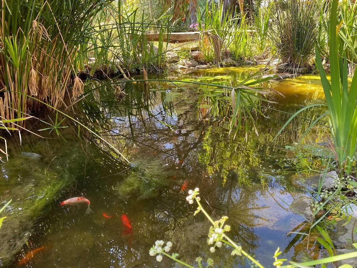 El Canto De Las Ranas Villa Barbate